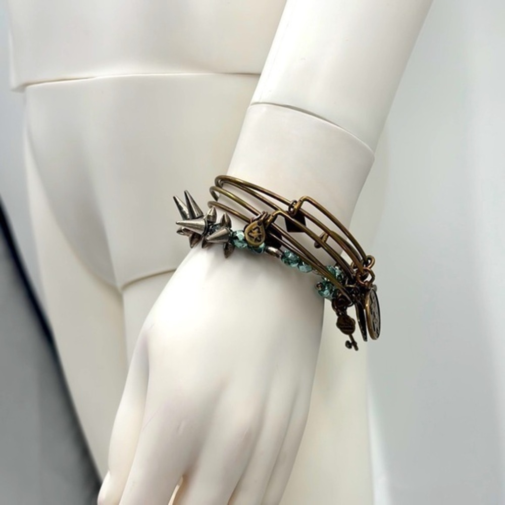 Bundle of 5 bracelets Alex and ani brass and silver colored bangles